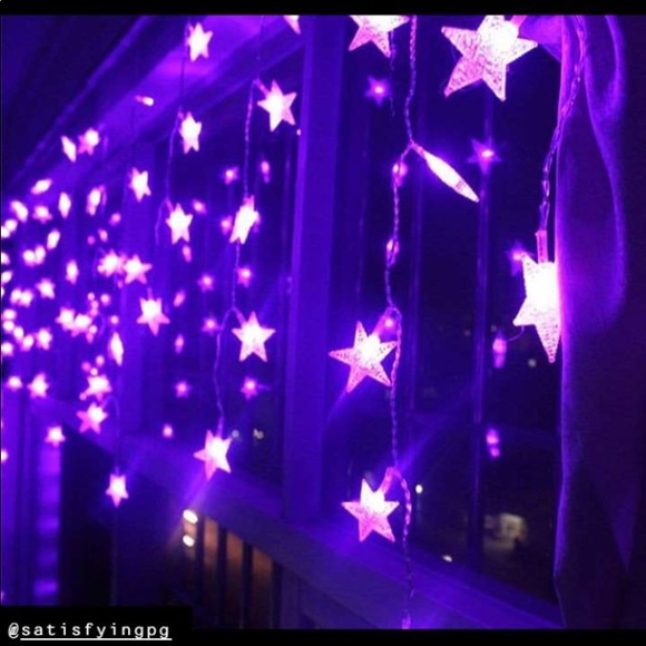 Meet your Posher, Sasha - Picture 7 of 8